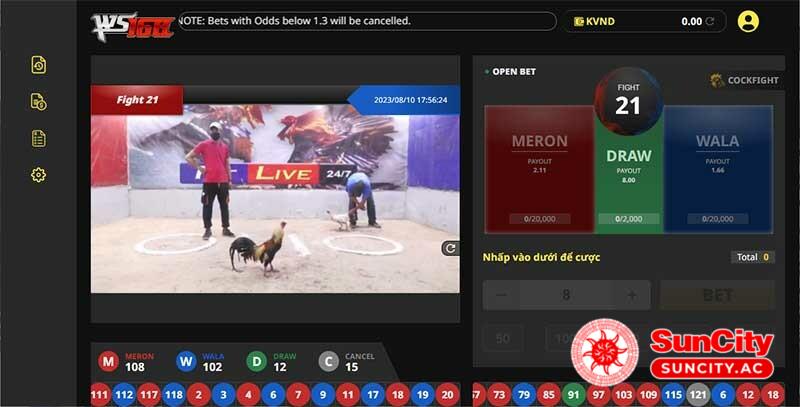 Xem live đá gà ở Suncity rất đơn giản