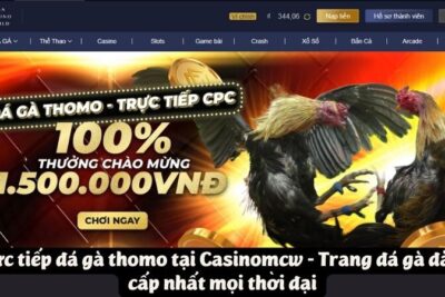 Trực Tiếp Đá Gà Thomo tại Casinomcw 