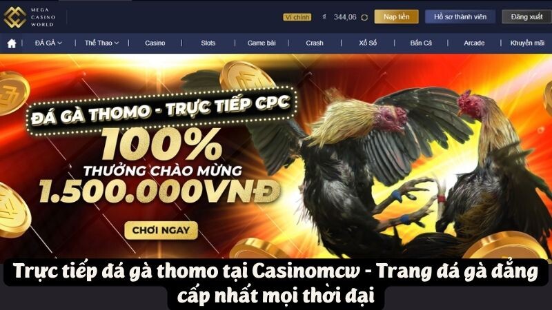 Trực tiếp đá gà thomo tại Casinomcw - Trang đá gà đẳng cấp nhất mọi thời đại