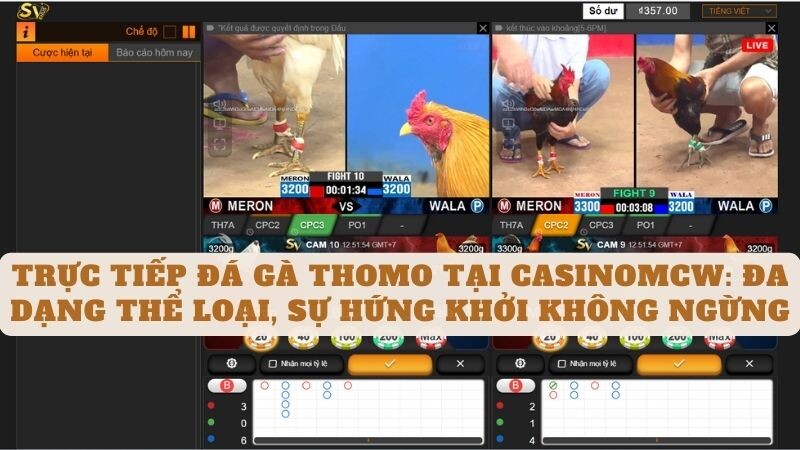 Trực Tiếp Đá Gà Thomo Đa Dạng Thể Loại tại Casinomcw