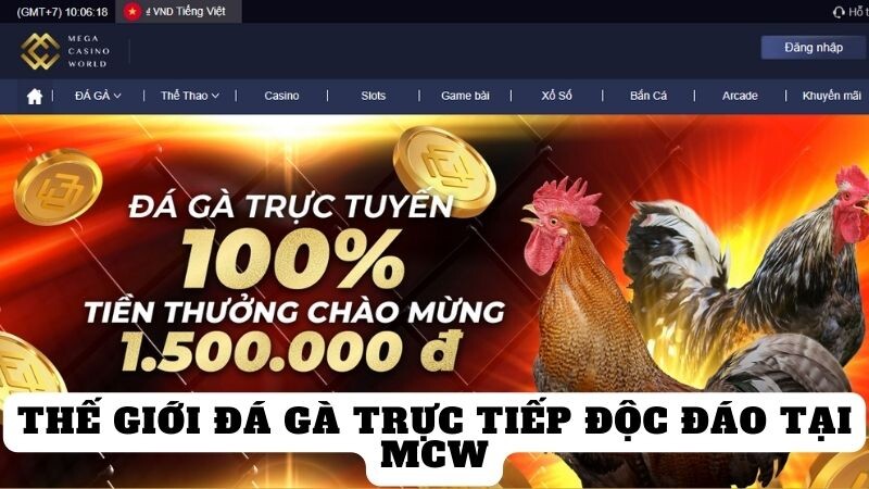 Thế giới đá gà trực tiếp độc đáo tại mcw
