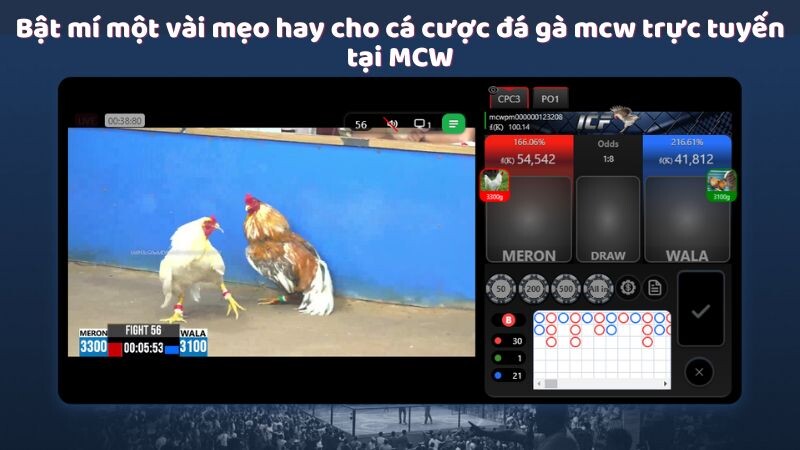 Bật mí một vài mẹo hay cho cá cược đá gà mcw trực tuyến tại MCW