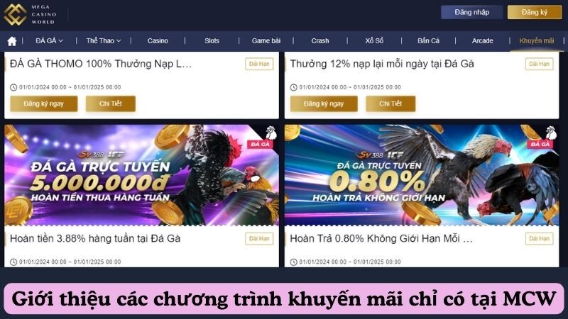 Giới thiệu các chương trình khuyến mãi chỉ có tại MCW