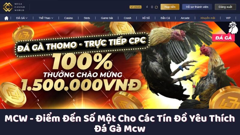 Đôi nét về nhà cái MCW