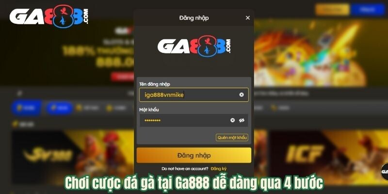 Chơi cược đá gà tại Ga888 dễ dàng qua 4 bước